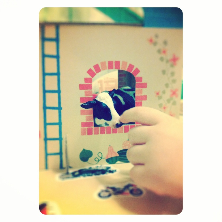 Home, sweet home. 10 марта. Взгляд изнутри.