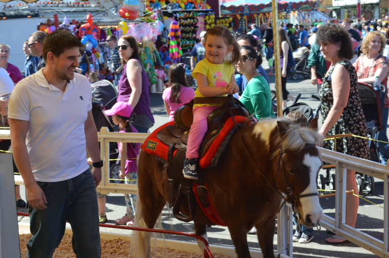 И вновь наши замечательные выходные!