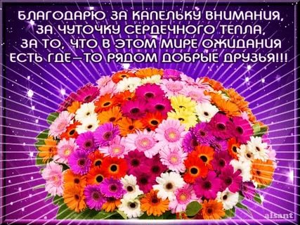 https://cdn.imgbb.ru/user/246/2466223/201705/14d94cdb593719b6b0e496deca4d43cc.jpg