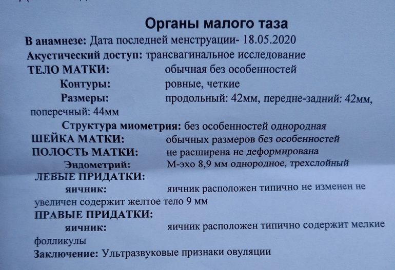 Желтое тело на УЗИ при обследовании яичников — это норма или патология