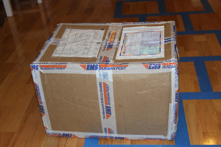 Приехала к нам Умница