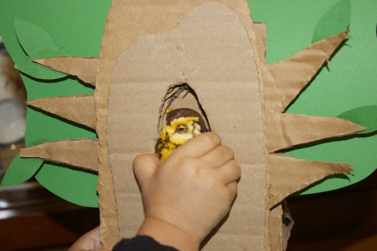 Птичья неделя. Много фото