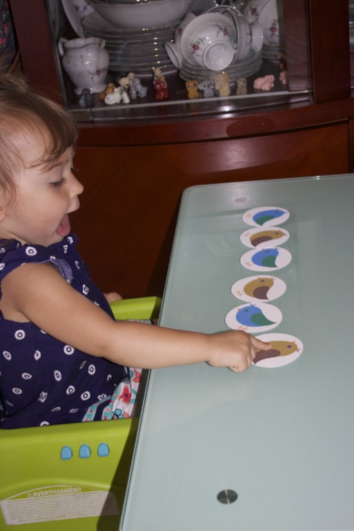 Птичья неделя. Много фото