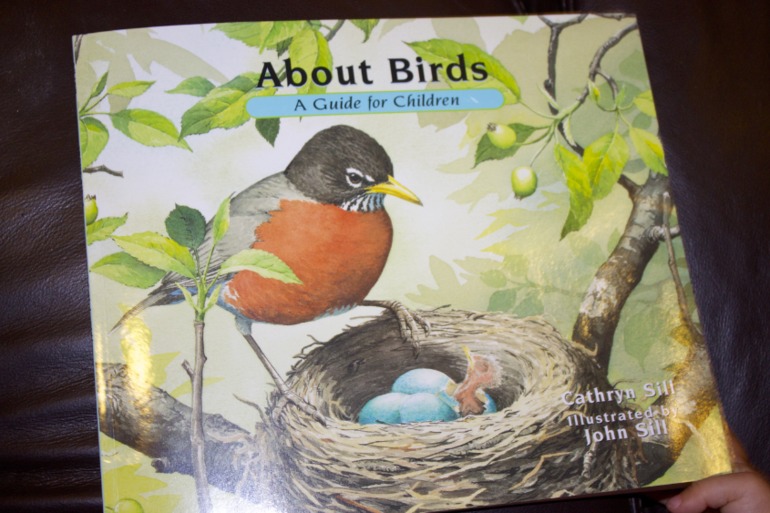 Птичья неделя. Много фото