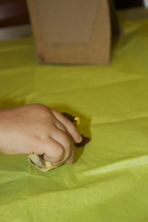 Птичья неделя. Много фото