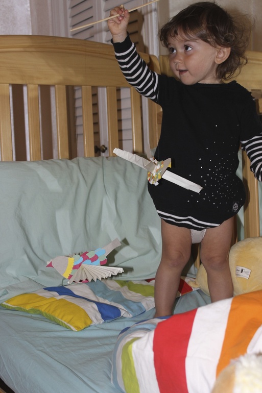 Птичья неделя. Много фото — 8 ответов | форум Babyblog
