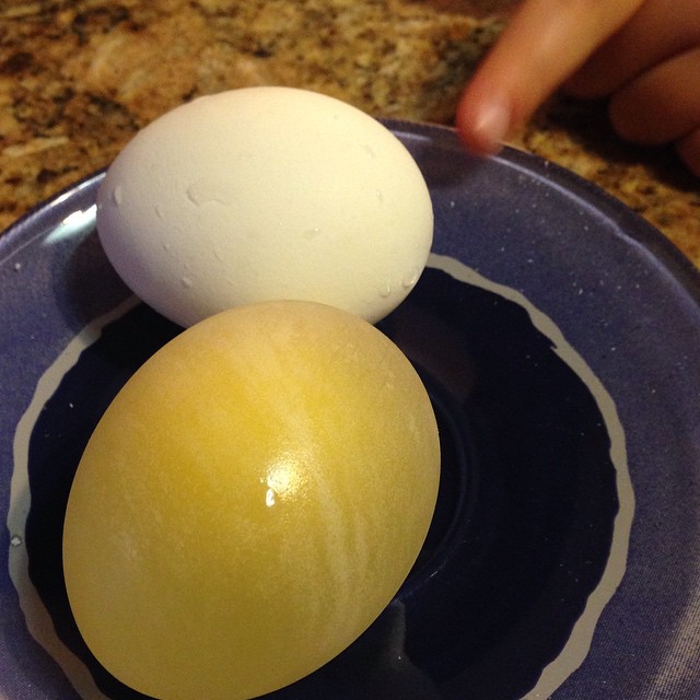Яичная скорлупа и уксус. Резиновые яйца. Резиновое яйцо эксперимент. Яйцо в уксусе. Резиновое яйцо в уксусе.
