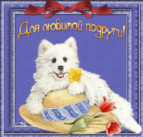 49b6f8db3b5d3ae7c4e61e98d4858ed3.jpg