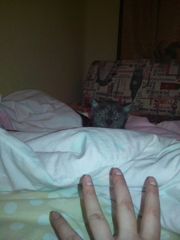 Как назвать?