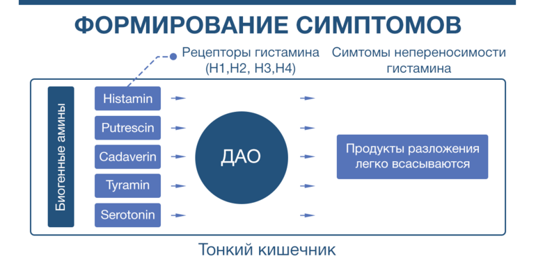 Непереносимость гистамина. Продукты с высоким содержанием гистамина. Продукты с высоким содержанием гистамина таблица. В каких продуктах содержится гистамин.