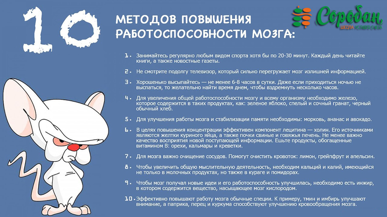 Работа мозга типы примеры людей