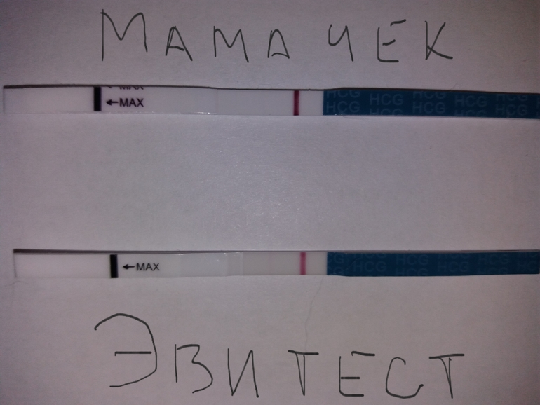 Мама тест 1. Мама тест 10 ДПО. Мамочек тест на беременность на 11 ДПО. Тест мама чек на 10 ДПО. Mama check тест на 9 ДПО.