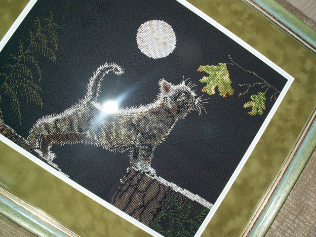 Котенок и Луна