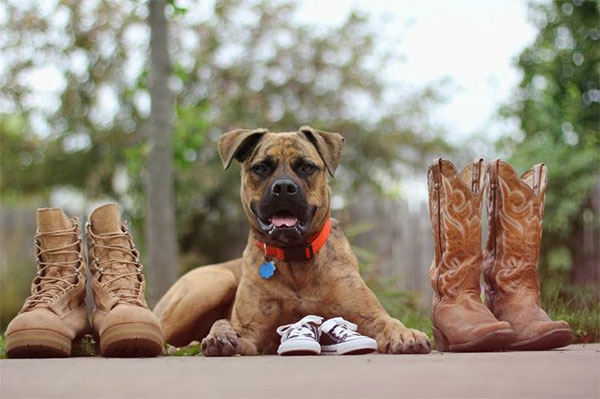 7 способов оригинально сообщить о беременности! :)