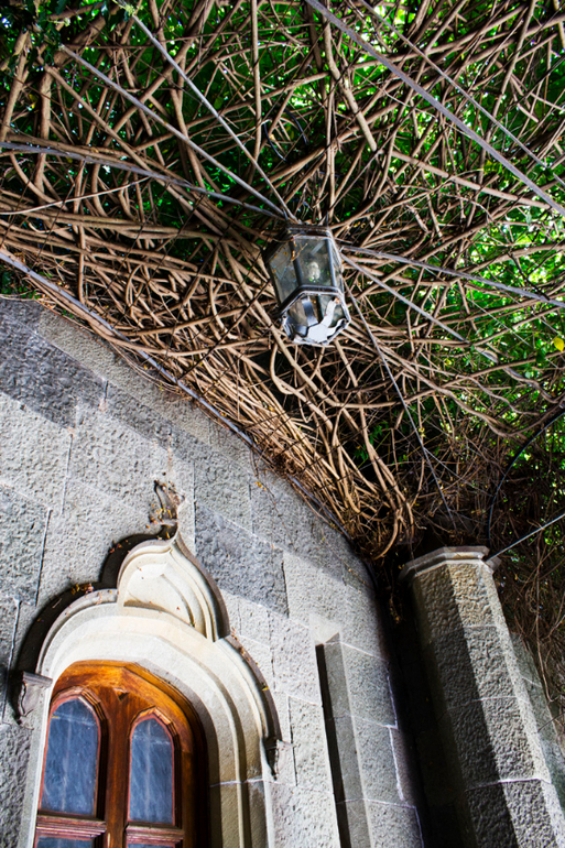 Нимфы в Алупкинском саду. Воронцовский парк