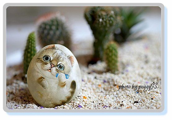 Морские камушки