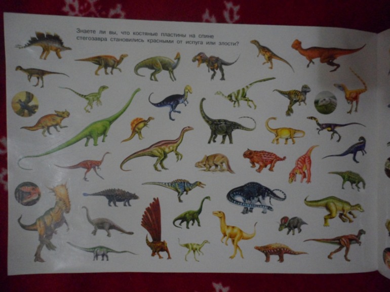 Заказик Озон ноябрь-1