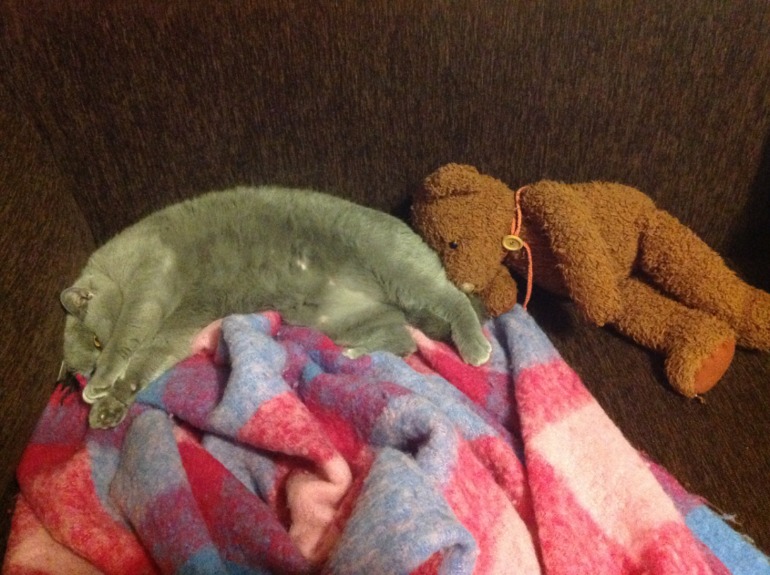 А много ли для счастья надо?