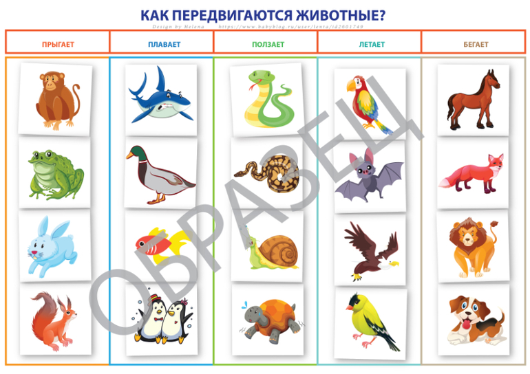 дидактическая игра как передвигаются животные 