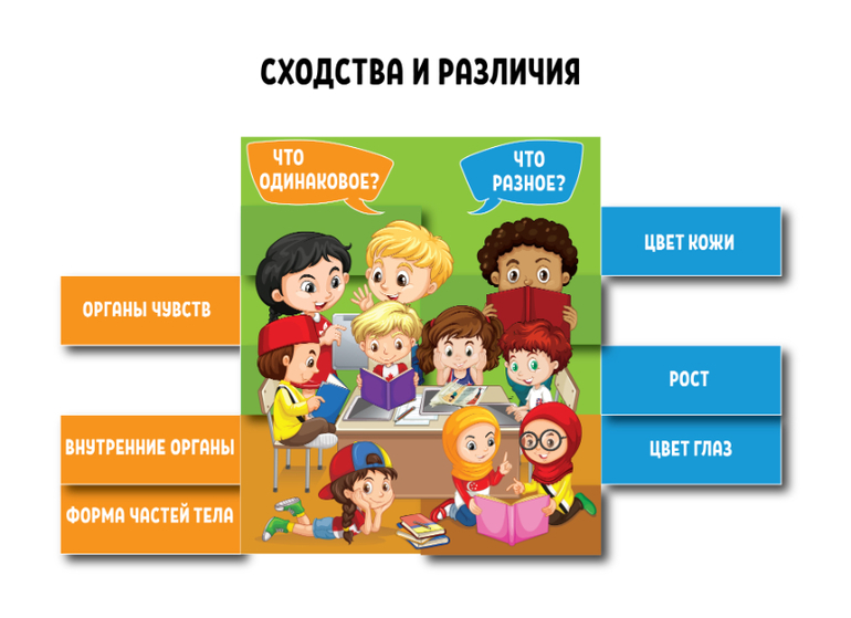 сходства и различия людей