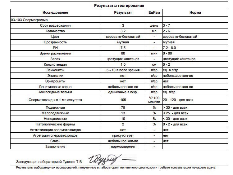 Норма спермограммы