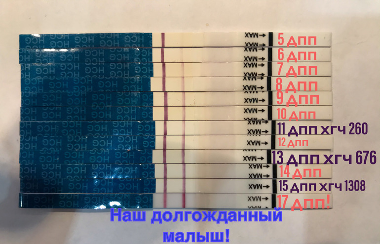 13 дпп пятидневок форум. Динамика тестов на беременность. Динамика тестов ДПП. Мамочек динамика тестов.