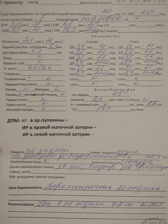Узи 3 триместр беременности показатели нормы. 3 скрининг результаты. 3 скрининг результаты. Узи сердца расшифровка результатов. 3 скрининг результаты.