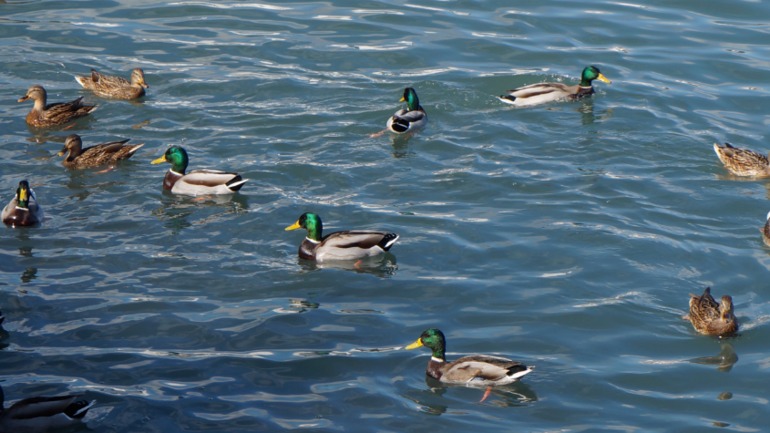 Новороссийск. 20.10.13.