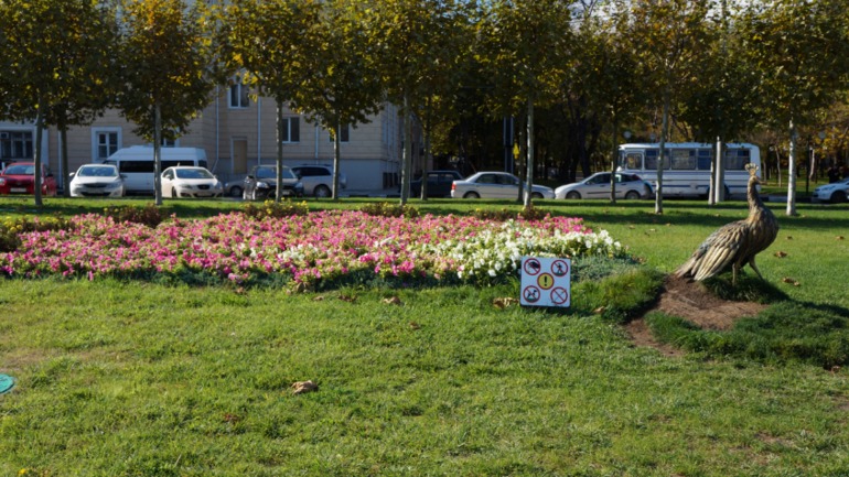 Новороссийск. 20.10.13.