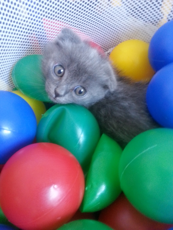 Фотобатл, кто красивее?