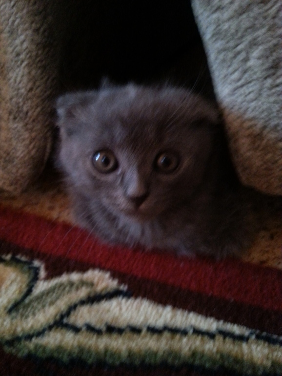 Фотобатл, кто красивее?