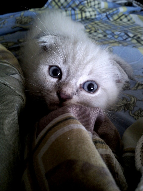 Фотобатл, кто красивее?