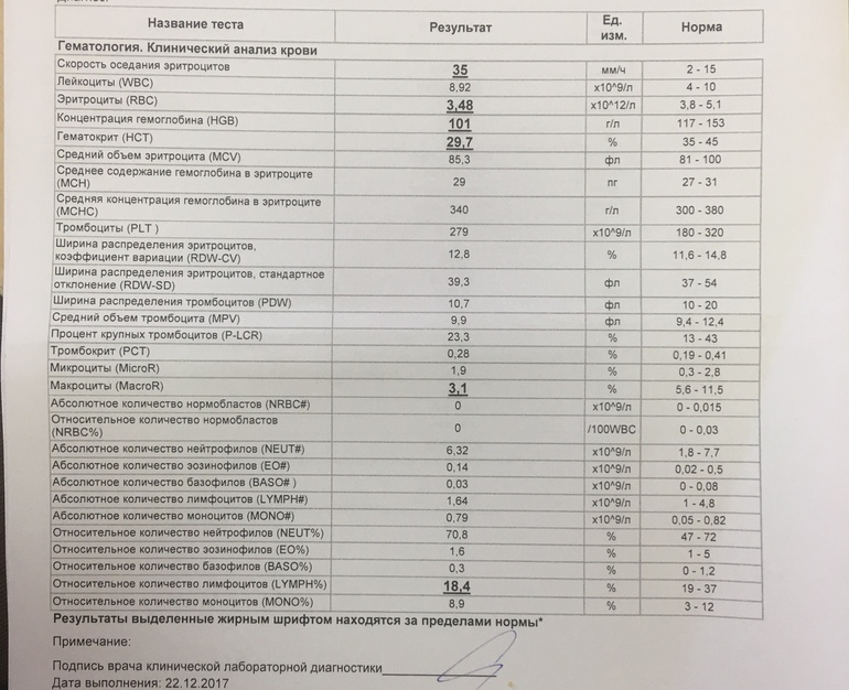 Нормобласты в оак. Нормобласты повышены у ребенка. Нормобласты в общем анализе крови. Нормобласты повышены у ребенка. Нормобласты в крови.