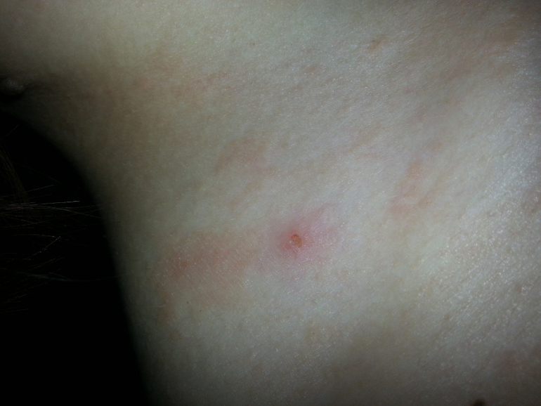 Красота,страшная сила