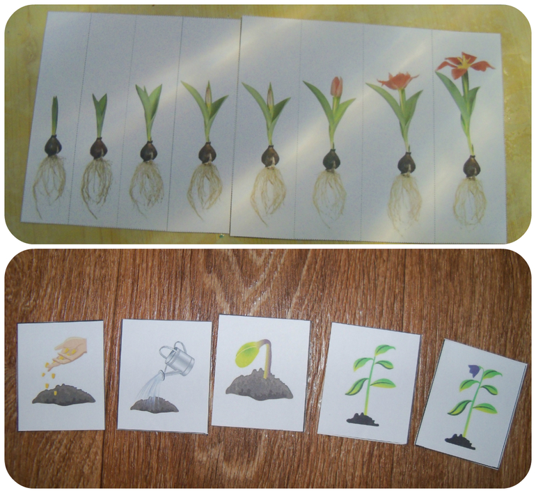 Наше весеннее в 2014. Миру год и 10-11 мес.