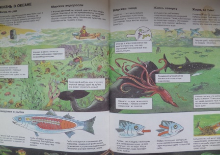 Книги из библиотеки 6