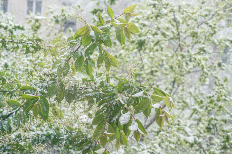 А вы говорили не дойдет....
