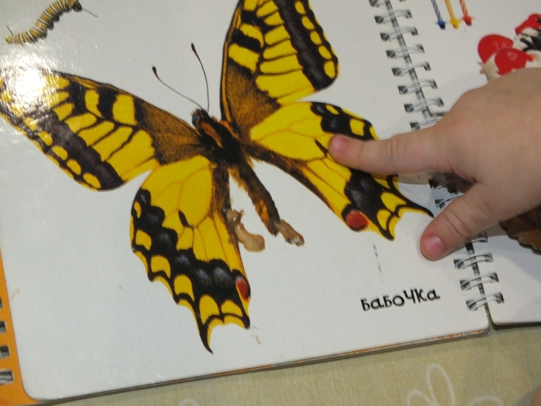 ТН Цвета. Желтый.