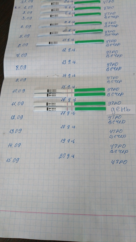 график базальной температуры естественный метод контрацепции. сегодня овуляция. сегодня овуляция. фазы овариального цикла. тест на овуляцию и беременность.