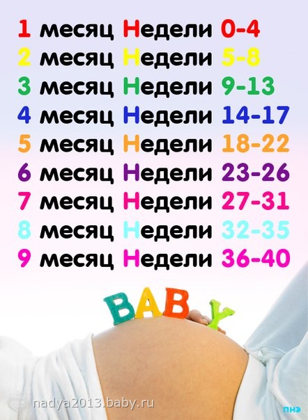 Развитие плода по неделям