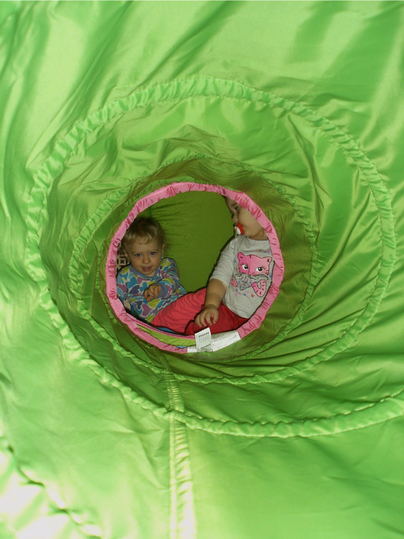 Алена (2.10) и Вика (1.3) январь 2014