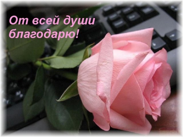 5f63fee9b2de24db42605447ed8534b3.jpg