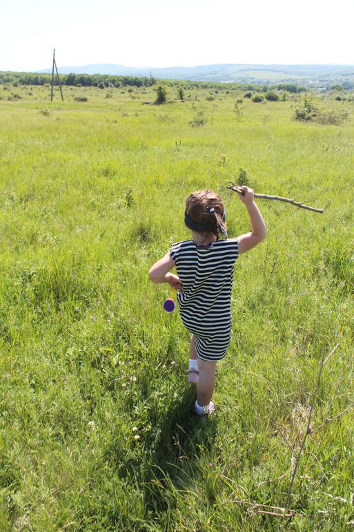 Сокровища пиратов