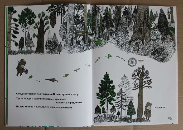 Полеш открывает музей