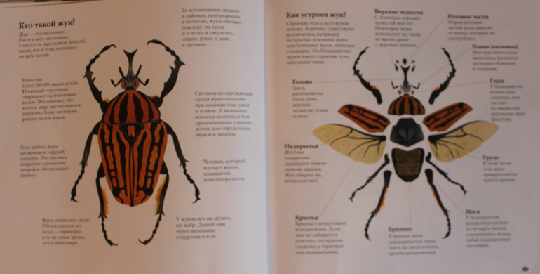 Наша книжная жизнь