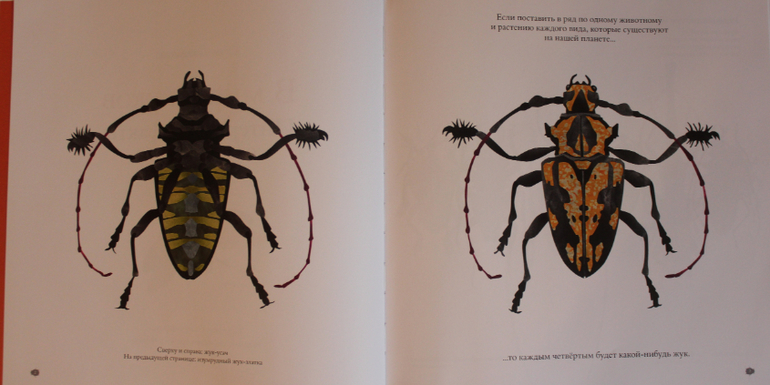 Наша книжная жизнь