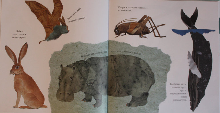 Наша книжная жизнь