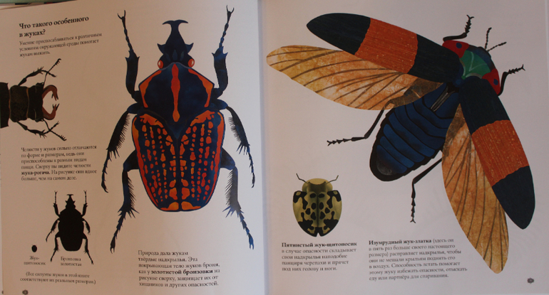 Наша книжная жизнь