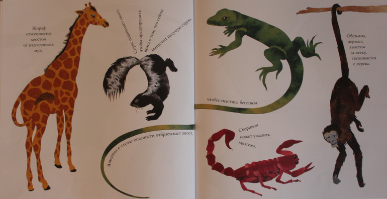 Наша книжная жизнь