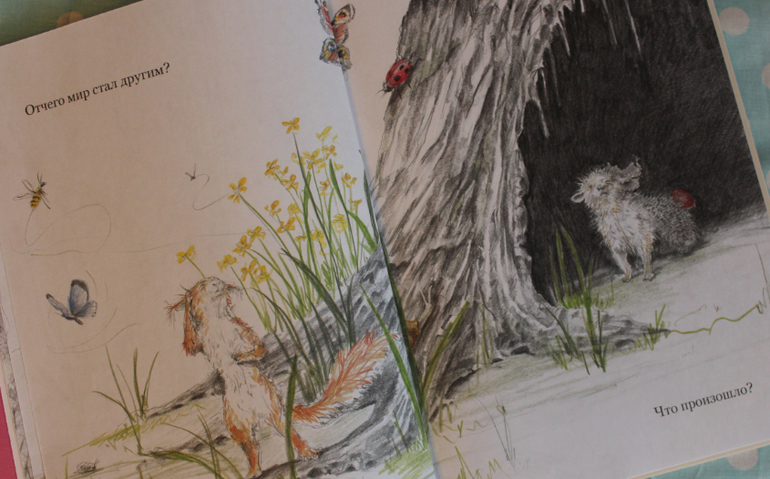 Наша книжная жизнь